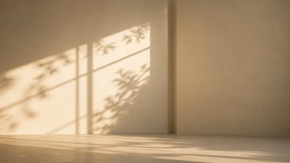 Soft leaf shadows move across a warm wall.