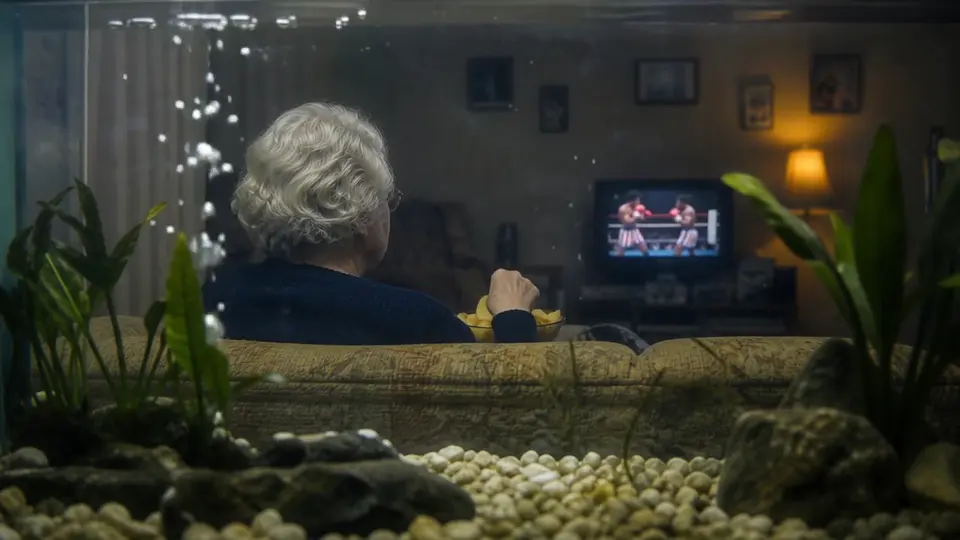 Seen through an aquarium, a woman eats chips while watching television.