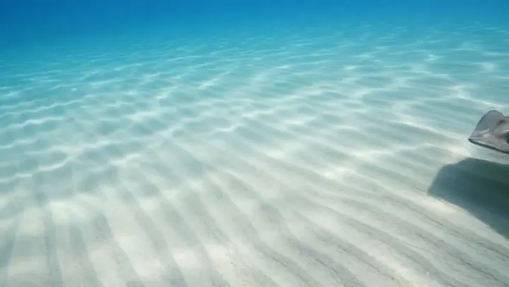 Raya sobre el fondo marino — Una animación submarina silenciosa para cajas y el escritorio.